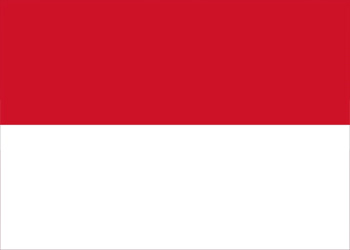 Urnas electorales de Indonesia 2021
