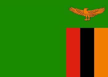 Elección de Zambia 2021 Delantal
